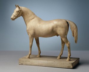 Unsaddled Horse