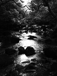 Kintyre... Plus. 18 by Peter McClure
