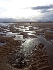 Low Tide Hartlepool, 2016