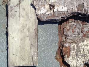 Textured Relief