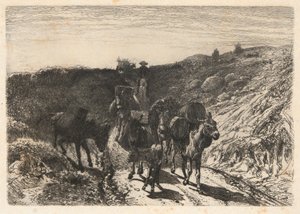 Burro Train, New Mexico