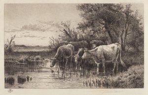 The Evening Hour
