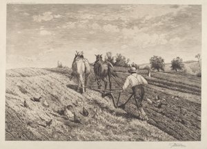 The Ploughman