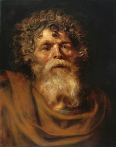 Portrait of a Bearded Old Man by Peter Paul Rubens