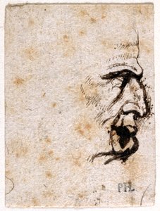 Galba, from Ten Drawings of Eight of the First Twelve Caesars by Peter Paul Rubens