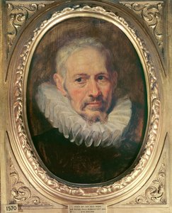 Head of an Old Man