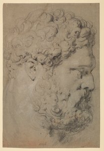 Head of the Farnese Hercules by Peter Paul Rubens