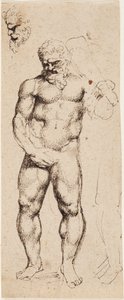 Hercules by Peter Paul Rubens