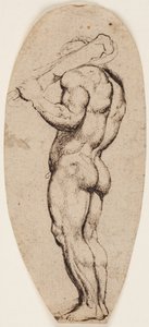 Hercules by Peter Paul Rubens