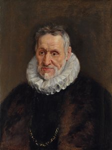 Portrait of a Bearded Man by Peter Paul Rubens