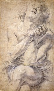 Seated Male Youth (Study for Daniel) by Peter Paul Rubens