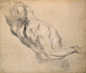 Study of a Nude Male Torso by Peter Paul Rubens