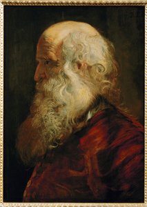 Study of an Old Man, c.1610