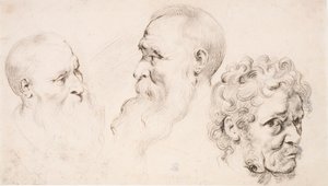 Three Male Heads by Peter Paul Rubens