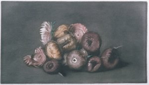 Still Life of Dried Flowers by Peter Vilhelm Ilsted