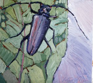 Musk Beetle by Peter Wilson
