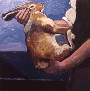 Rabbits Soon Become Tame if Handled Correctly