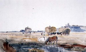 A Lincoln Hayfield