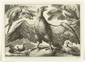 Eagle (Various Birds series) by Peter van Liesebetten