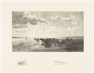 Cattle by a Pond