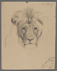 Head of a lion by Philip H. Wolfrom
