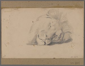 Head of a Sleeping Lion