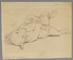 Sleeping Lioness