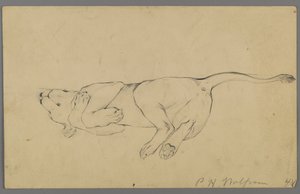 Sleeping Lioness by Philip H. Wolfrom