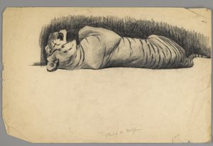 Sleeping Tiger by Philip H. Wolfrom