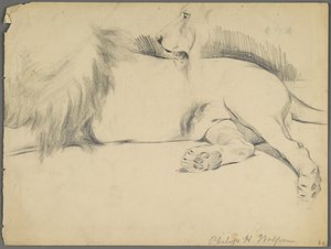 Studies of a Lion by Philip H. Wolfrom