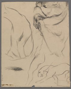 Studies of a Lion by Philip H. Wolfrom