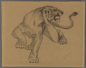Tiger by Philip H. Wolfrom