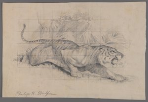 Tiger in Landscape by Philip H. Wolfrom