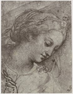 Head of the Virgin by Philip Henry Delamotte