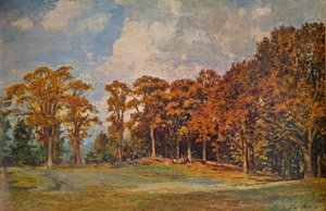 Grove at Bridgnorth, 1901-1935
