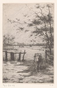 Cow Being Milked in a Meadow