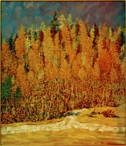 Autumn Forest
