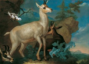 Three Chamois and a Blackbird by Philipp Ferdinand de Hamilton