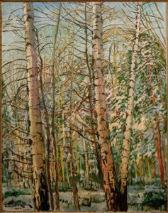 Birches in Snow by Philipp Franck