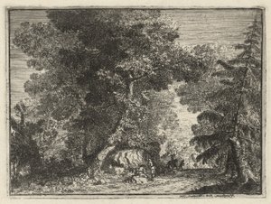 A Road through the Woods