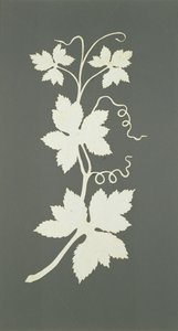 Hop plant