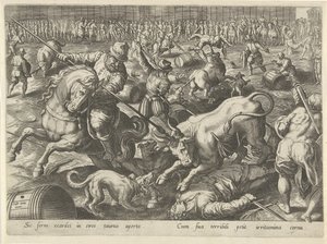 Bullfight