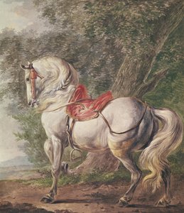 A White Horse