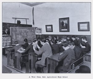 A Wool Class, Sale Agricultural High School by Photographer Australian