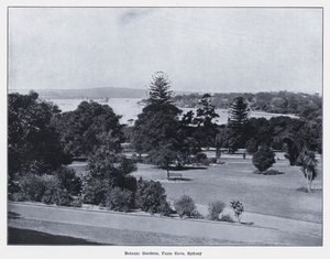Botanic Gardens, Farm Cove, Sydney by Photographer Australian