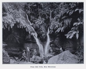 Fairy Dell Falls, Blue Mountains by Photographer Australian