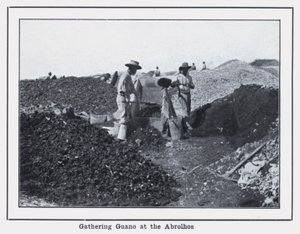 Gathering Guano at the Abrolhos by Photographer Australian