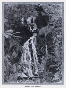 Mathinna Falls, Healesville