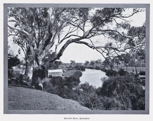 Mitchell River, Bairnsdale by Photographer Australian