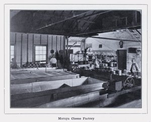 Moruya Cheese Factory by Photographer Australian